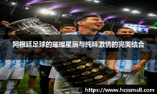 阿根廷足球的璀璨星辰与纯粹激情的完美结合